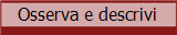 Osserva e descrivi